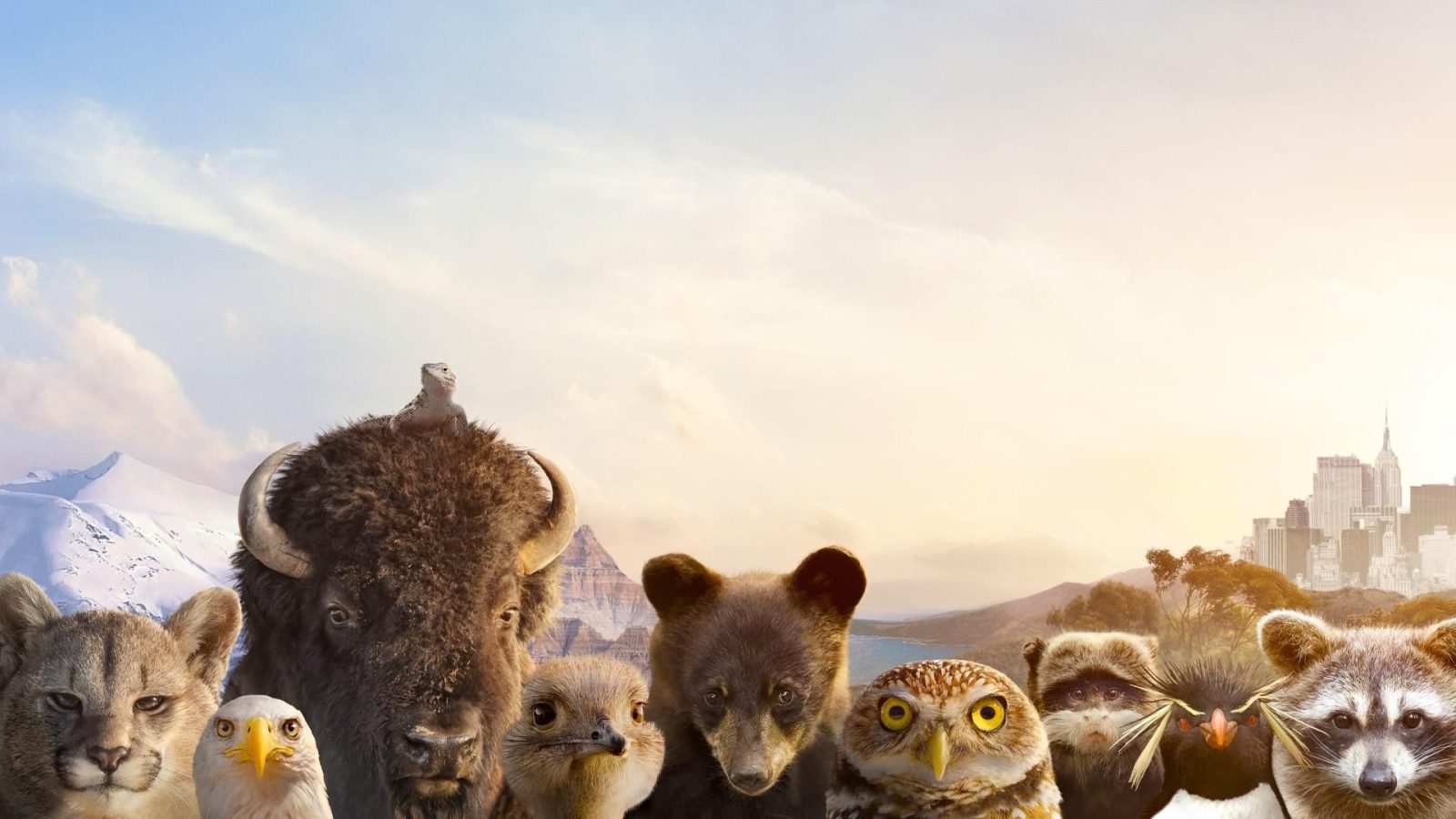 Tom Hanks goes wild: channelling David Attenborough in 'The Americas' documentary