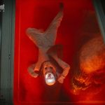 See exclusive photos of D. rex, Mutadon, and more