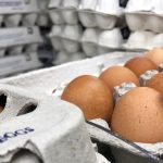 What to Know – Hollywood Life