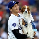 Dodgers' Shohei Ohtani announces children's book starring his dog Decoy