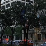 Updates on Suspect’s Identity & Situation – Hollywood Life