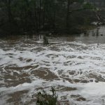 Updates on the Damaging Floods in Ruidoso – Hollywood Life