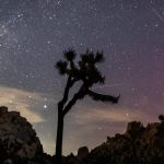 How & When to Watch the Perseid Shower – Hollywood Life