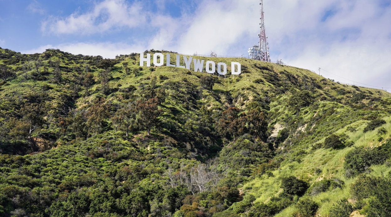 Hollywood Stars and Their Bold Ventures Beyond the Screen