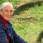 How Did the Beloved Primatologist Die? – Hollywood Life