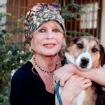 How Did the Movie Star Die? – Hollywood Life